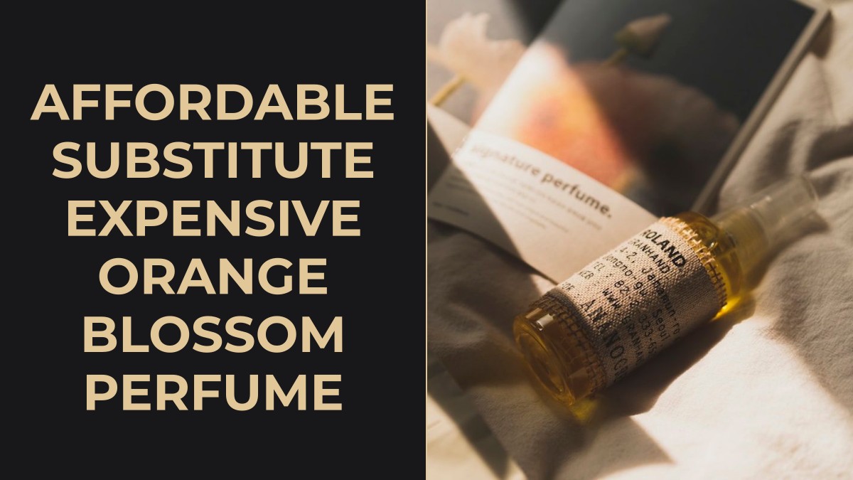 affordable substitute expensive orange blossom perfume