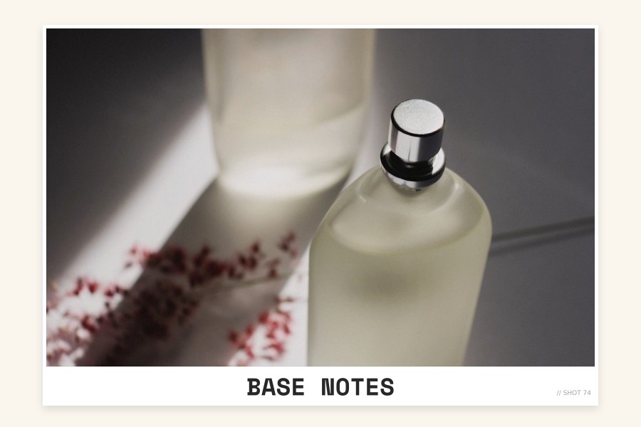 base notes