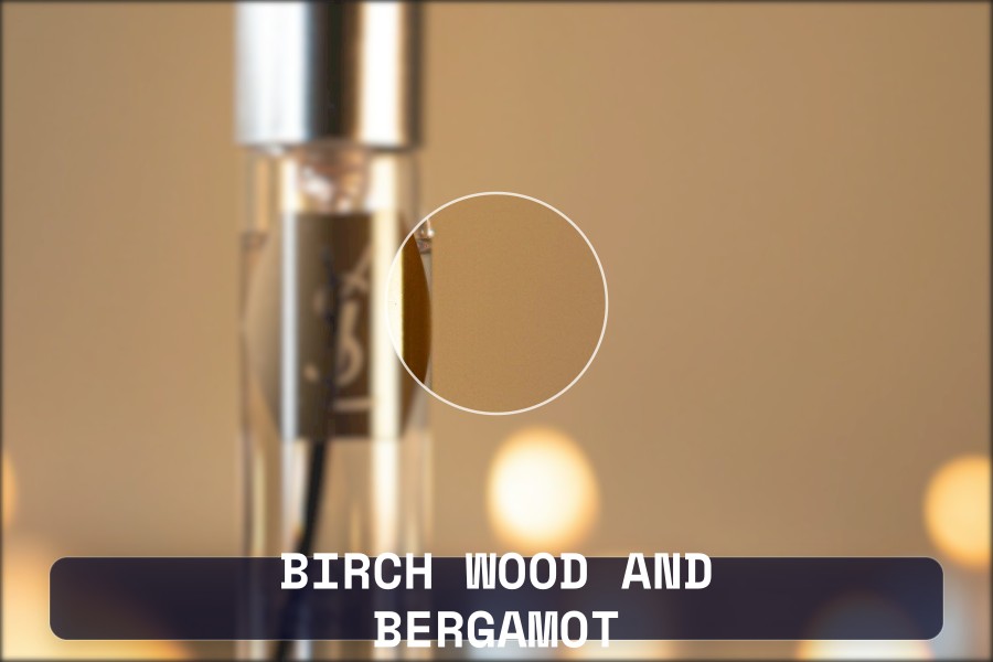 birch wood and bergamot