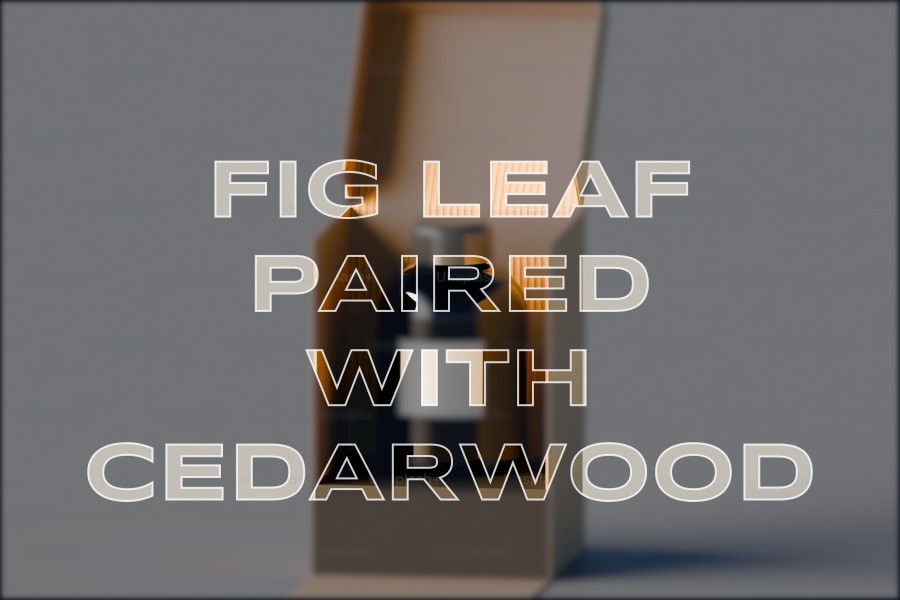 fig leaf paired with cedarwood