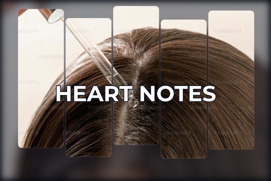 heart notes