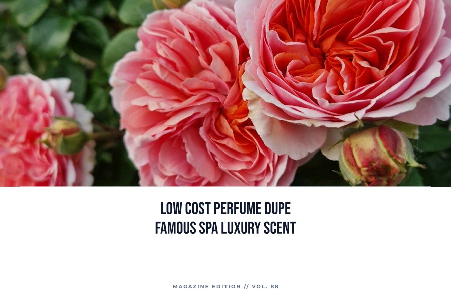 low cost perfume dupe famous spa luxury scent