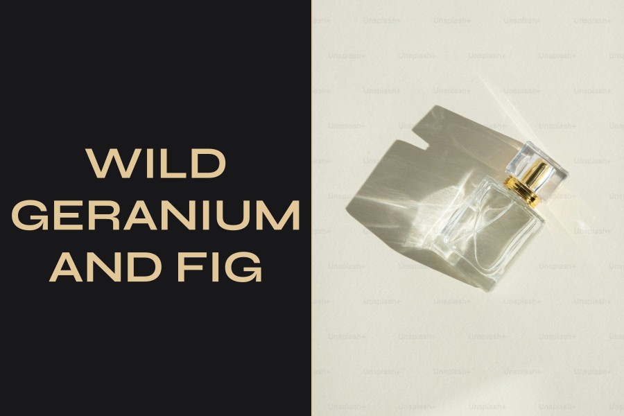 wild geranium and fig