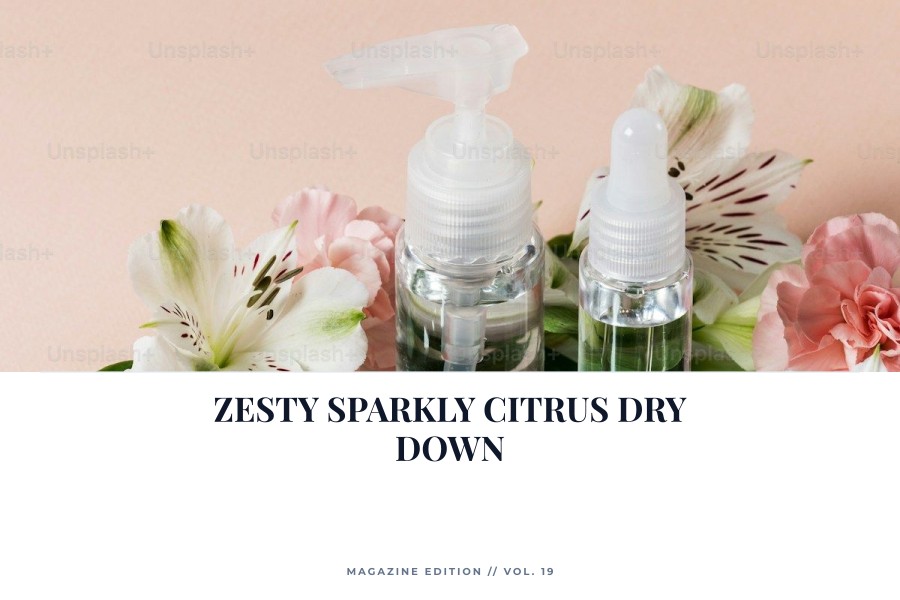 zesty sparkly citrus dry down