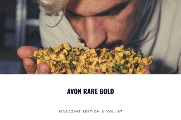 Avon - Rare Gold