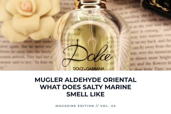 Mugler Aldehyde Oriental what does salty marine smell like