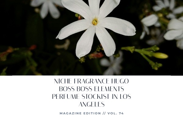 Niche Fragrance Hugo Boss Boss Elements perfume stockist in Los Angeles