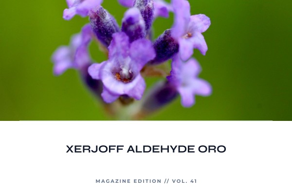 Xerjoff - Aldehyde Oro